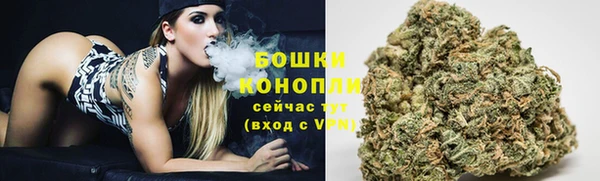 трава Инта