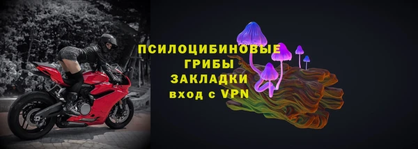 дурь Инсар