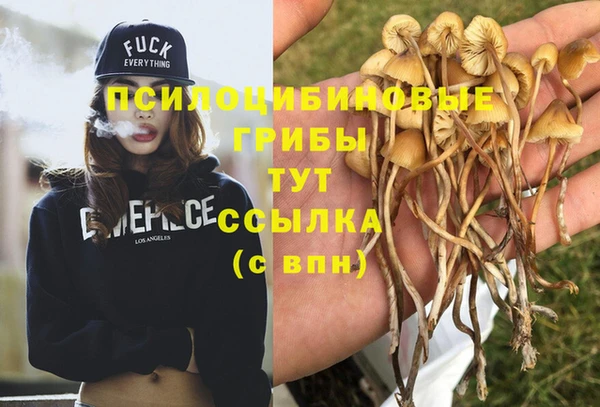 дурь Инсар