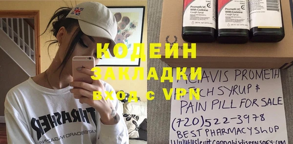 трава Инта
