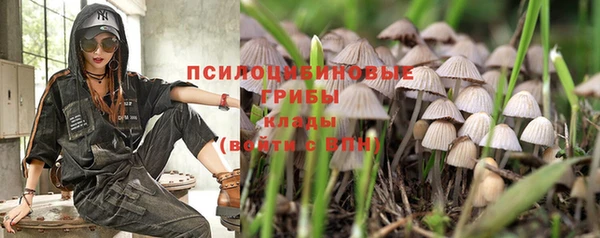 дурь Инсар