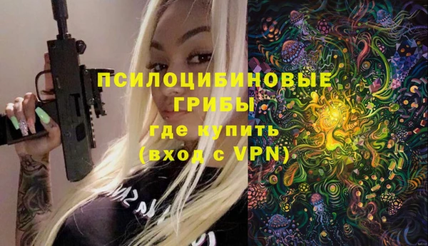 дурь Инсар