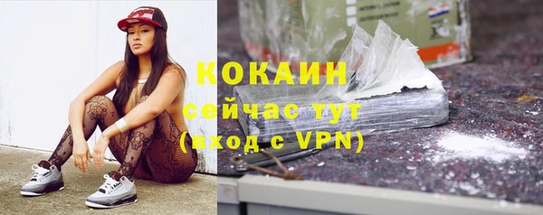 дурь Инсар