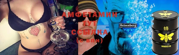 трава Инта