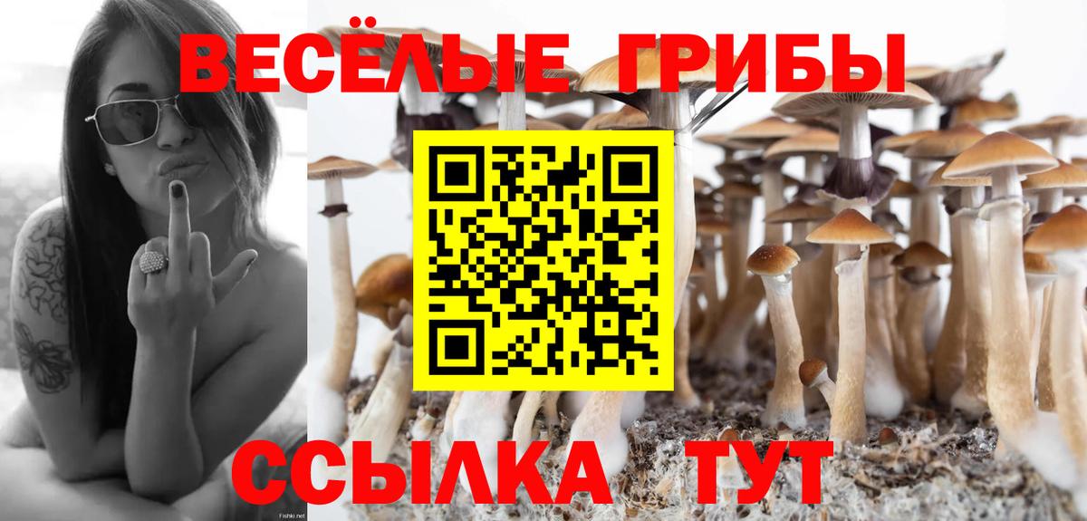Кудымкар  Галлюциногенные грибы мухоморы  Псилоцибиновые грибы Cubensis  Вход с VPN 