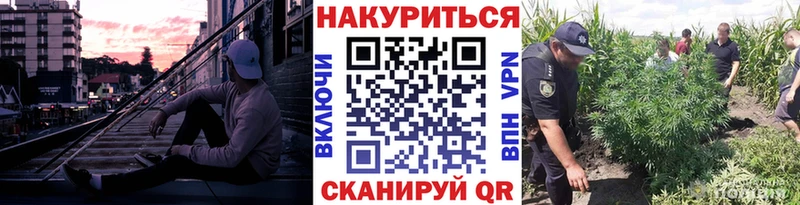 Канабис тримм  где можно купить   Кудымкар 